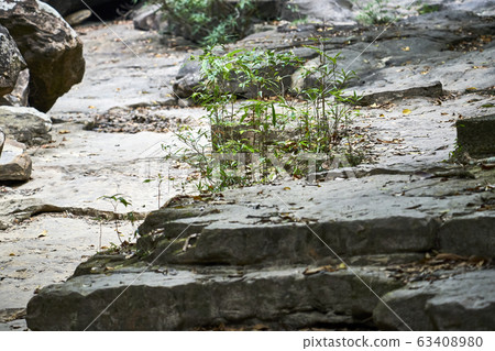 Beautiful lanscape nature Beautiful lanscape nature 63408980