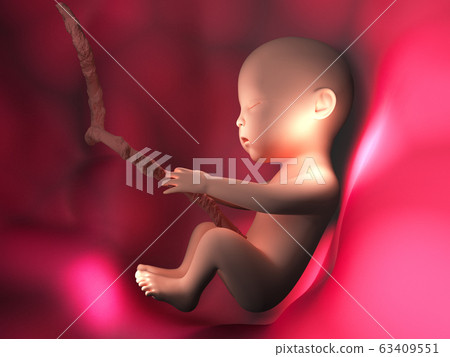 Human embryo inside body 3d illustration image 63409551