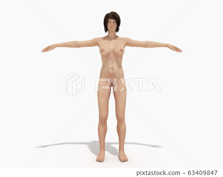 A woman body for books on anatomy 3d render on 63409847