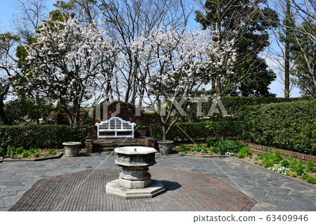 公園花時鐘花卉園花卉園 公園花時鐘花卉園花卉園 63409946