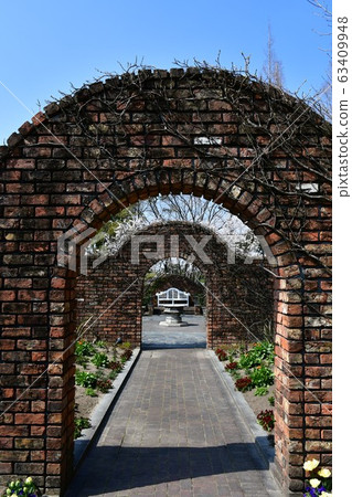 公園花時鐘花卉園花卉園 公園花時鐘花卉園花卉園 63409948