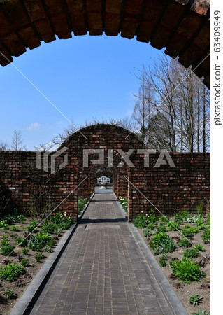 公園花時鐘花卉園花卉園 公園花時鐘花卉園花卉園 63409949