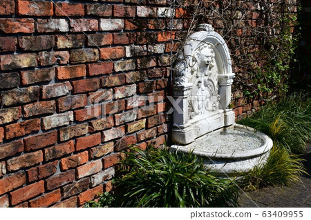 公園花時鐘花卉園花卉園 公園花時鐘花卉園花卉園 63409955