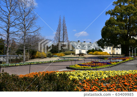 公園花時鐘花卉園花卉園 63409985
