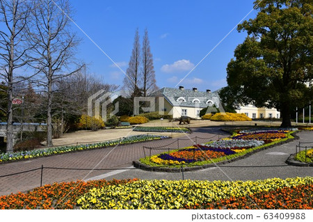 公園花時鐘花卉園花卉園 63409988