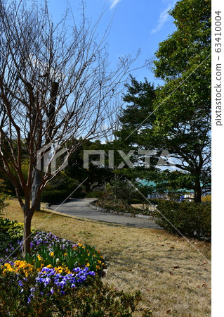 Park flower clock flower garden flower garden Park flower clock flower garden flower garden 63410004