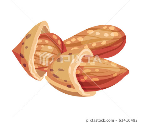Whole Almond Kernel With Broken Nutshell Vector Illustration. Organic Food Ingredient 63410482