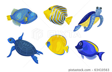 Exotic Fish and Turtles with Bright Colouring Vector Set 63410563