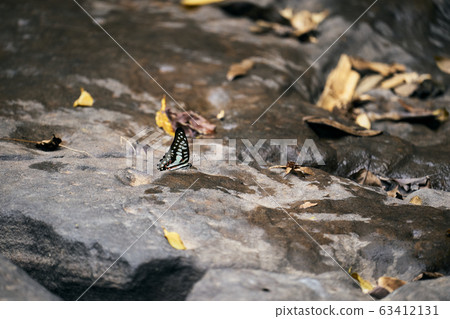 Beautiful lanscape nature in Thailand Beautiful lanscape nature in Thailand 63412131