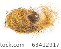 Bird nest 63412917