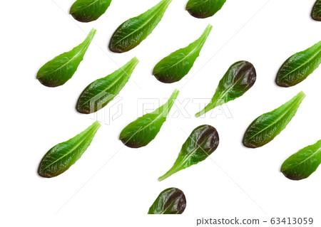 romaine lettuce leaf pattern isolated on white background romaine lettuce leaf pattern isolated on white background 63413059