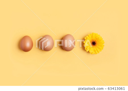 Spring and easter concept. A row of brown eggs and a yellow flower Spring and easter concept. A row of brown eggs and a yellow flower 63413061