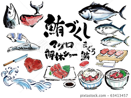 Set varieties varieties set tuna, tuna, tuna, tuna making, vector, tuna dismantling show 63413457