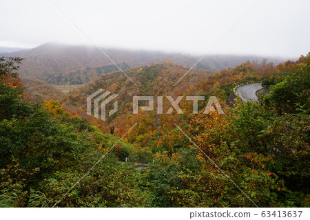 Autumn leaves on the Ginzan-daira side of the Edo-ori Pass on Route 352 Autumn leaves on the Ginzan-daira side of the Edo-ori Pass on Route 352 63413637