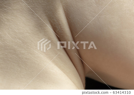 Texture of human skin. Close up of well-kept caucasian human body 63414310