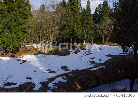 Forest bathing Forest bathing 63415300