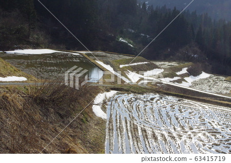Rice terraces Rice terraces 63415719