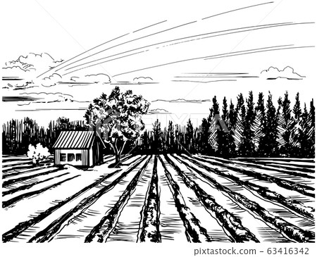 Agricultural landscape with house 63416342