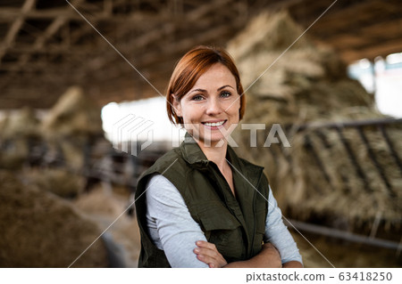 Woman worker standing on diary farm, agriculture industry. 63418250