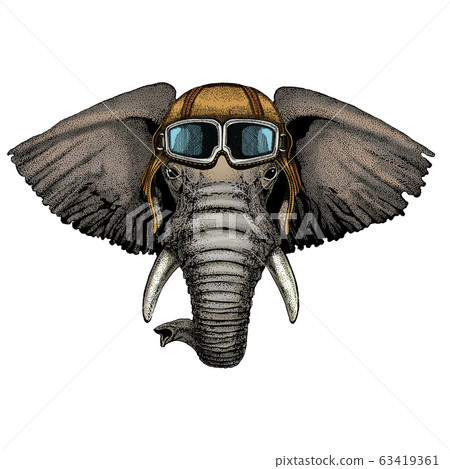 Elephant head. Portrait of wild animal. Vintage aviator helmet with googles. 63419361
