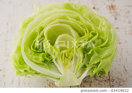 生菜的一節 生菜的一節 63419622