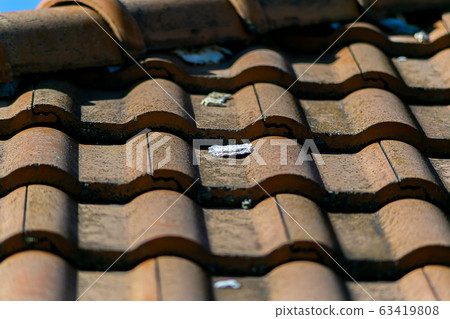 Roof tile Roof tile 63419808
