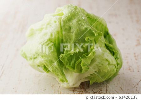 lettuce lettuce 63420135