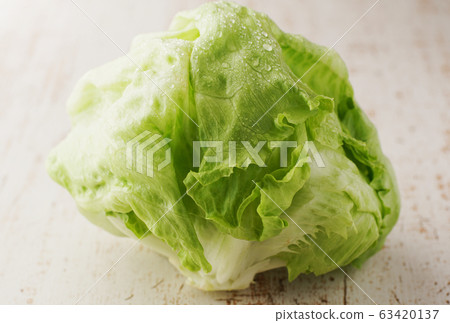 生菜 生菜 63420137