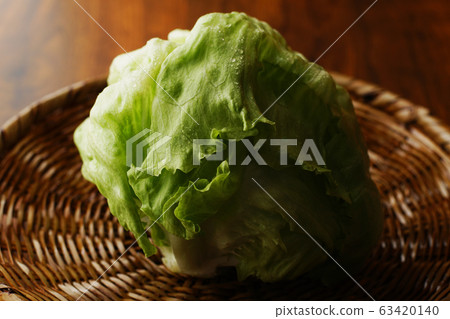lettuce lettuce 63420140