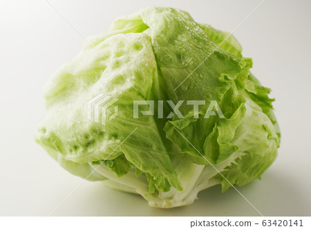 lettuce lettuce 63420141