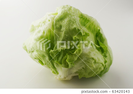 lettuce	 63420143