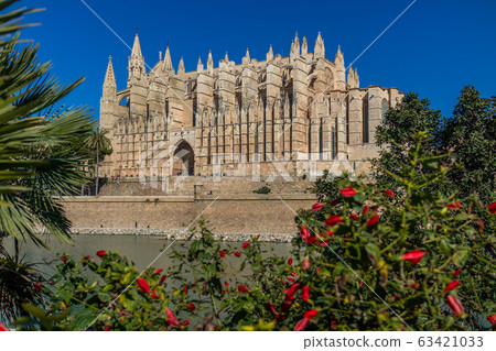 Palma Cathedral La Seu, Palma de Mallorca, Mallorca, Balearic Islands, Spain, Europe Palma Cathedral La Seu, Palma de Mallorca, Mallorca, Balearic Islands, Spain, Europe 63421033