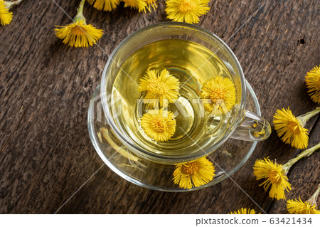 A cup of coltsfoot tea with fresh Tussilago A cup of coltsfoot tea with fresh Tussilago 63421434