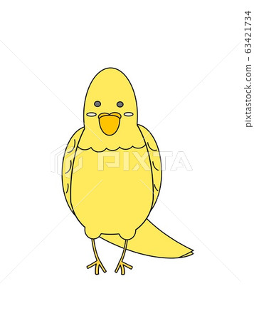 Parakeet Parakeet 63421734