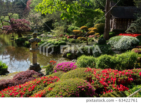 Red rhododendrons at Maulivrier japanese garden at Pays de la Loire Red rhododendrons at Maulivrier japanese garden at Pays de la Loire 63422761