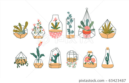 Terrarium plant set of tropical houseplant flowers Terrarium plant set of tropical houseplant flowers 63423487