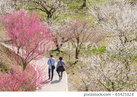 Umebayashi, Umezono, Tsukigase, Nara 63425828