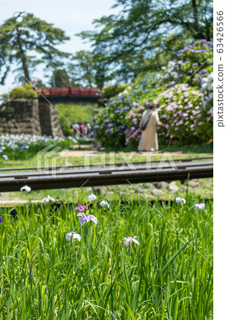 [Flower Odawara Castle] 63426566