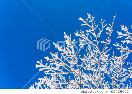 三重縣冬季Gozaisho峰會Rime Rime冰 63426602