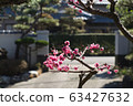 梅花 63427632