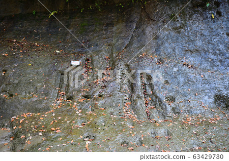 提巴尼組 提巴尼組 63429780