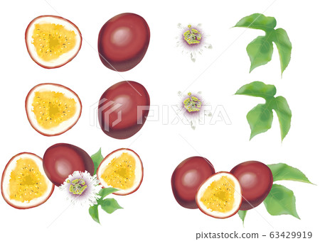 南部國家ami美百香果水果 63429919