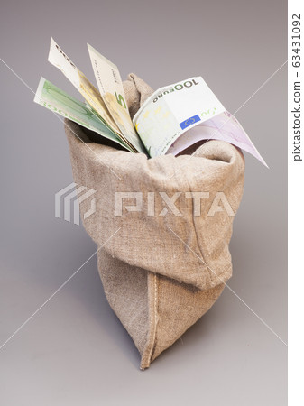 Money bag with euro isolated on gray background 63431092