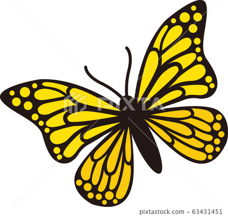 Butterfly yellow Butterfly yellow 63431451
