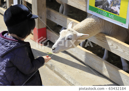 母親農場綿羊農場 63432184