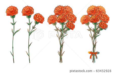 Carnation (orange) 63432928