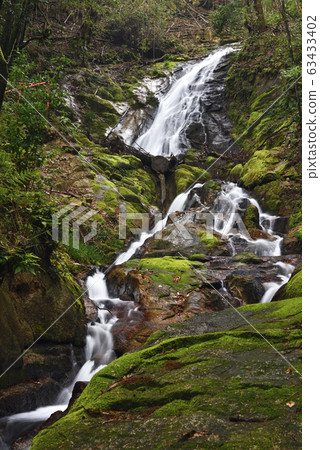 Kushin Waterfall (Ritto City, Shiga Prefecture) 63433402