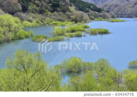 日光河川湖和萌芽樹 63434778