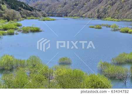 日光河川湖和萌芽樹 63434782