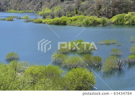 日光河川湖和萌芽樹 63434784